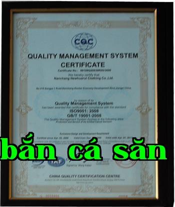 Chứng chỉ và danh hiệu
